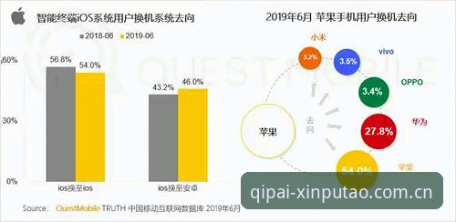 5个核心优势解析：新葡萄娱乐手机客户端手机版为何成为休闲棋牌用户首选